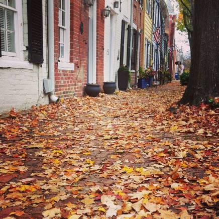 12196286_10153720781866197_8554175202532774555_n